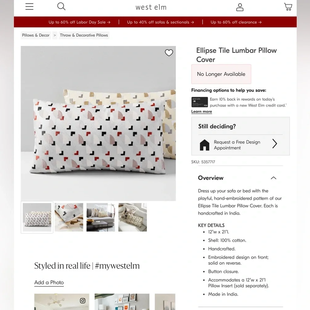West Elm Lumbar Pillow Cover
